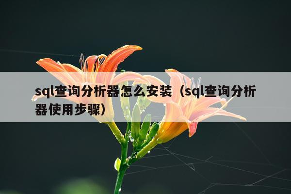 sql查询分析器怎么安装(sql查询分析器使用步骤)