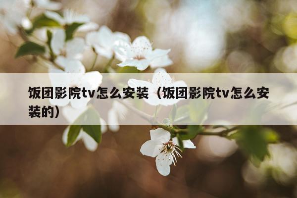 饭团影院tv怎么安装(饭团影院tv怎么安装的)