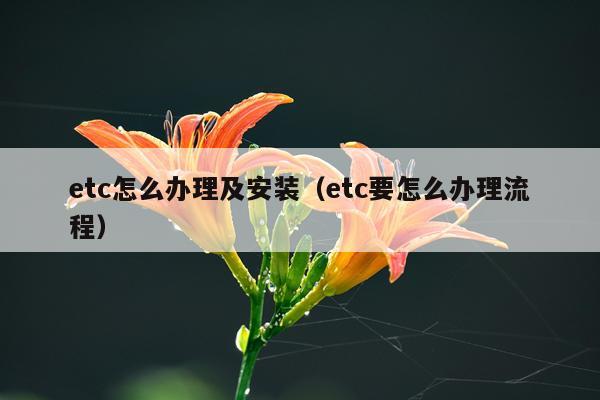 etc怎么办理及安装(etc要怎么办理流程)