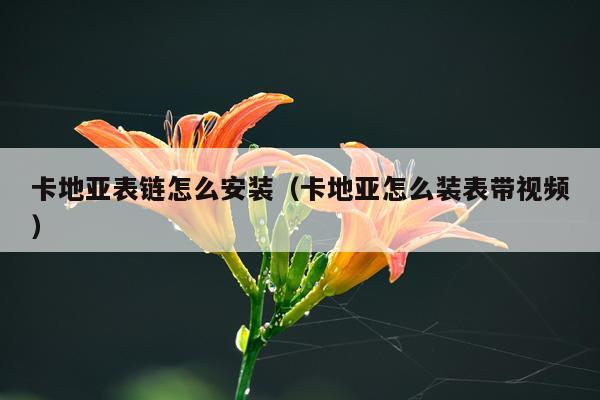 卡地亚表链怎么安装(卡地亚怎么装表带视频)