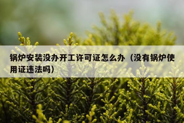 锅炉安装没办开工许可证怎么办(没有锅炉使用证违法吗)