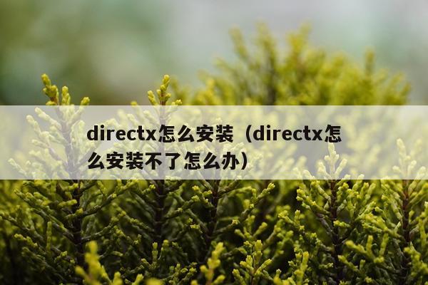 directx怎么安装(directx怎么安装不了怎么办)