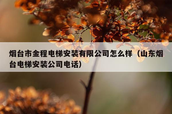 烟台市金程电梯安装有限公司怎么样(山东烟台电梯安装公司电话)