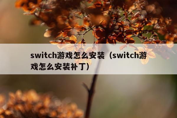 switch游戏怎么安装(switch游戏怎么安装补丁)