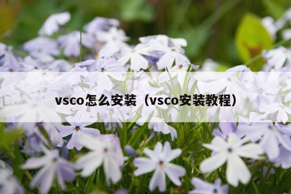 vsco怎么安装(vsco安装教程)