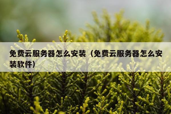 免费云服务器怎么安装(免费云服务器怎么安装软件)