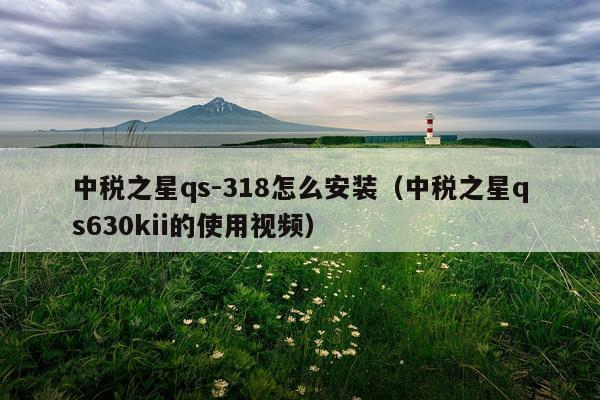 中税之星qs-318怎么安装(中税之星qs630kii的使用视频)