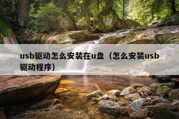 usb驱动怎么安装在u盘(怎么安装usb驱动程序)