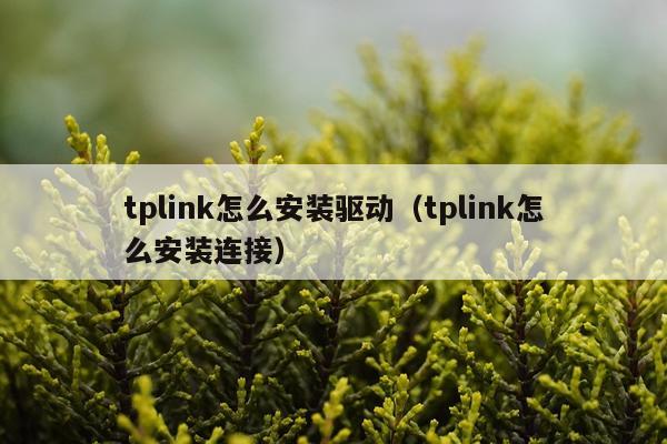 tplink怎么安装驱动(tplink怎么安装连接)
