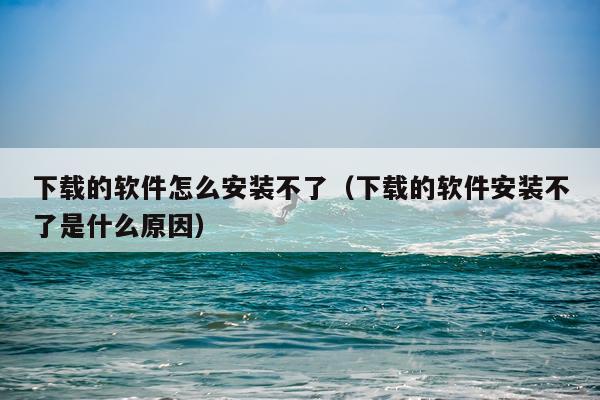 下载的软件怎么安装不了(下载的软件安装不了是什么原因)