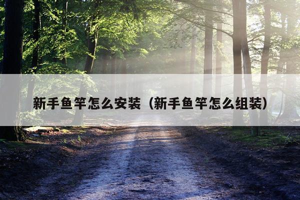 新手鱼竿怎么安装(新手鱼竿怎么组装)