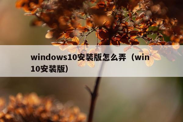windows10安装版怎么弄(win 10安装版)