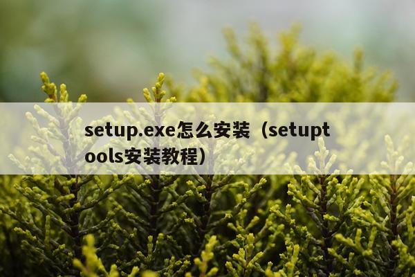 setup.exe怎么安装(setuptools安装教程)