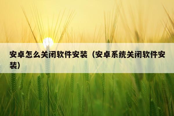 安卓怎么关闭软件安装(安卓系统关闭软件安装)
