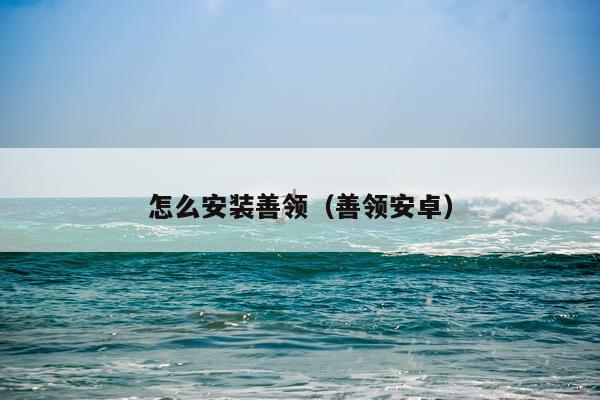 怎么安装善领(善领安卓)