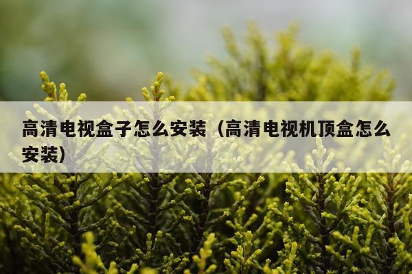 高清电视盒子怎么安装(高清电视机顶盒怎么安装)