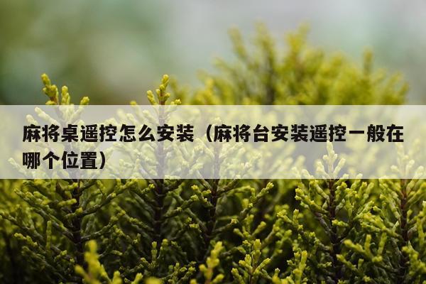麻将桌遥控怎么安装（麻将台安装遥控一般在哪个位置）