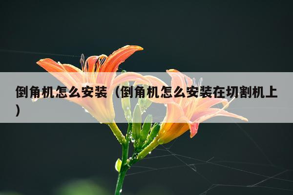 倒角机怎么安装（倒角机怎么安装在切割机上）
