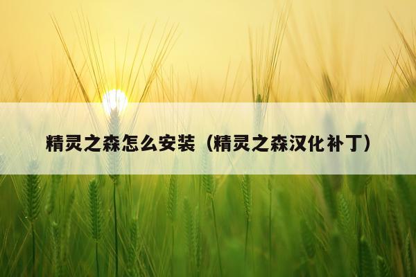 精灵之森怎么安装（精灵之森汉化补丁）