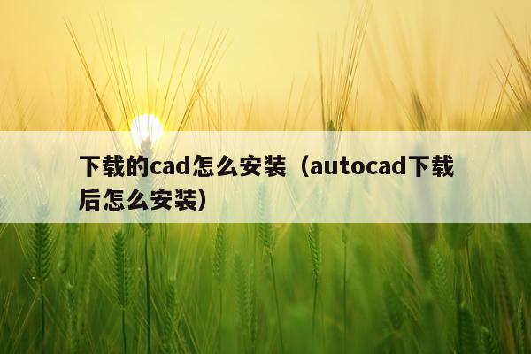 下载的cad怎么安装（autocad下载后怎么安装）