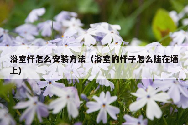浴室杆怎么安装方法(浴室的杆子怎么挂在墙上)