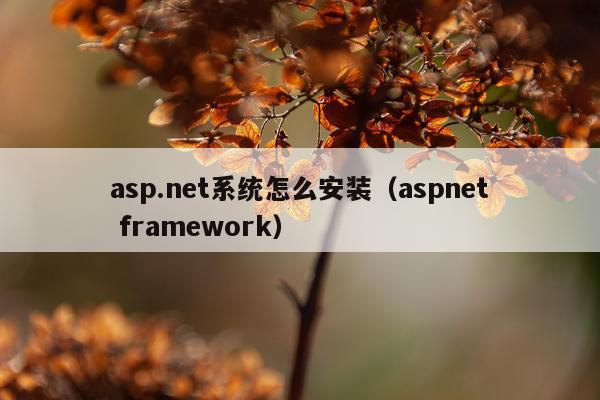 asp.net系统怎么安装(aspnet framework)