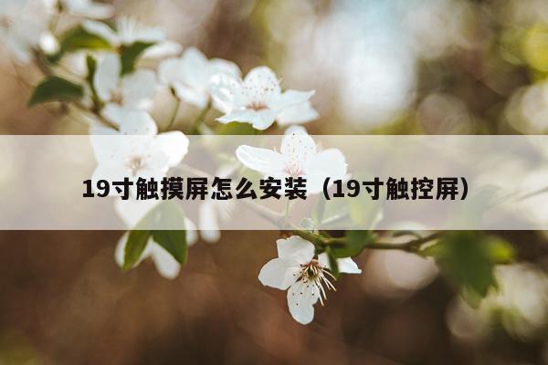19寸触摸屏怎么安装(19寸触控屏)