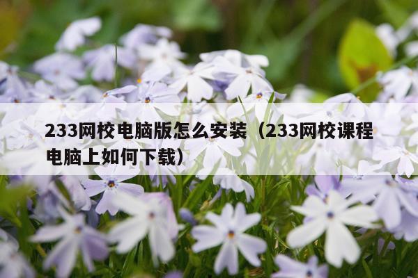 233网校电脑版怎么安装(233网校课程电脑上如何下载)