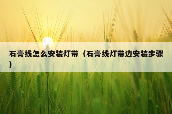 石膏线怎么安装灯带（石膏线灯带边安装步骤）