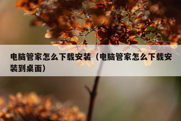 电脑管家怎么下载安装（电脑管家怎么下载安装到桌面）