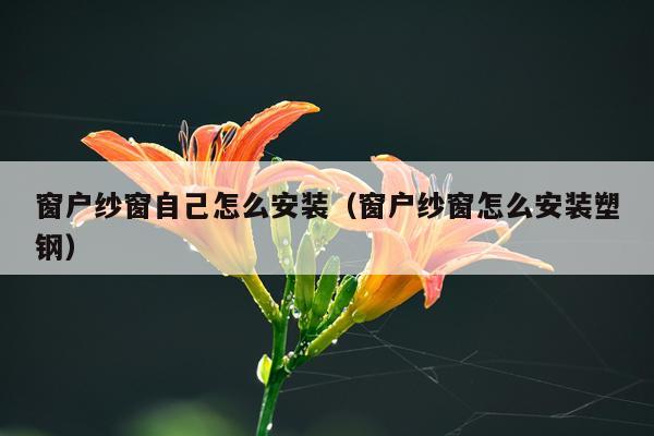 窗户纱窗自己怎么安装（窗户纱窗怎么安装塑钢）