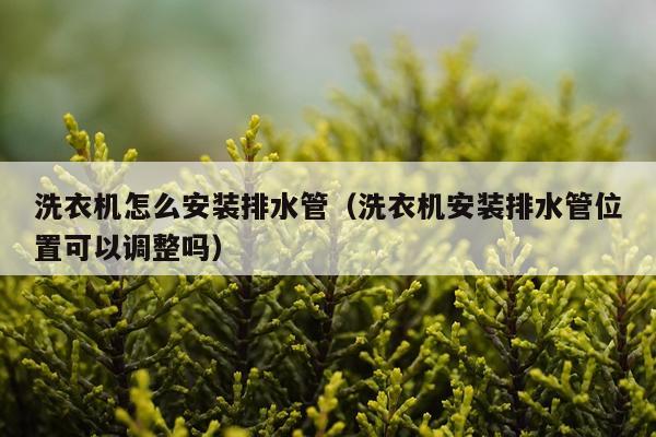 洗衣机怎么安装排水管(洗衣机安装排水管位置可以调整吗)