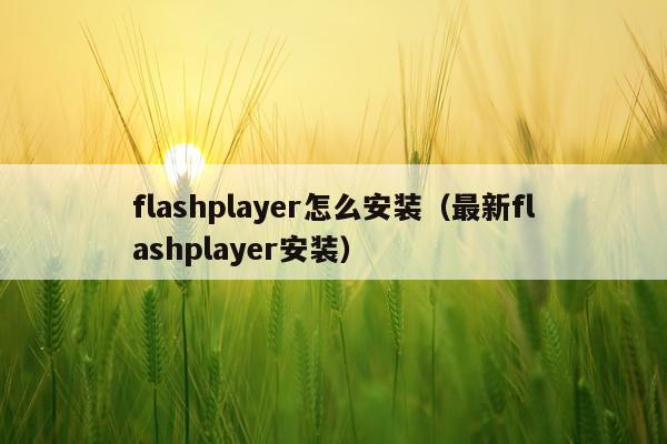 flashplayer怎么安装（最新flashplayer安装）