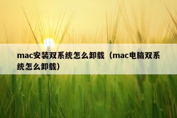 mac安装双系统怎么卸载（mac电脑双系统怎么卸载）