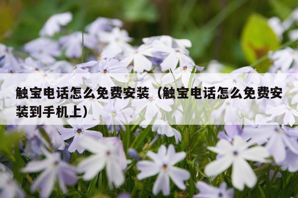 触宝电话怎么免费安装(触宝电话怎么免费安装到手机上)