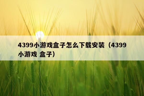 4399小游戏盒子怎么下载安装(4399小游戏 盒子)