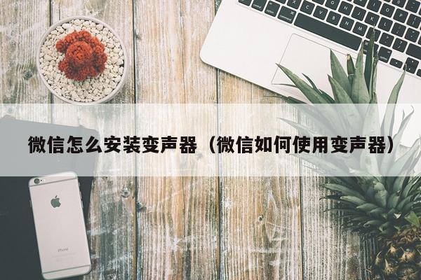 微信怎么安装变声器(微信如何使用变声器)
