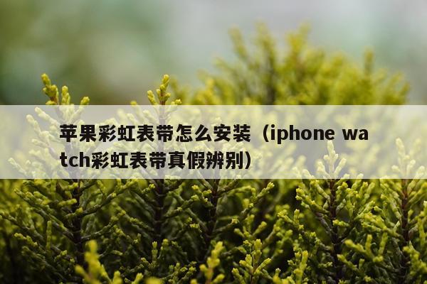 苹果彩虹表带怎么安装(iphone watch彩虹表带真假辨别)