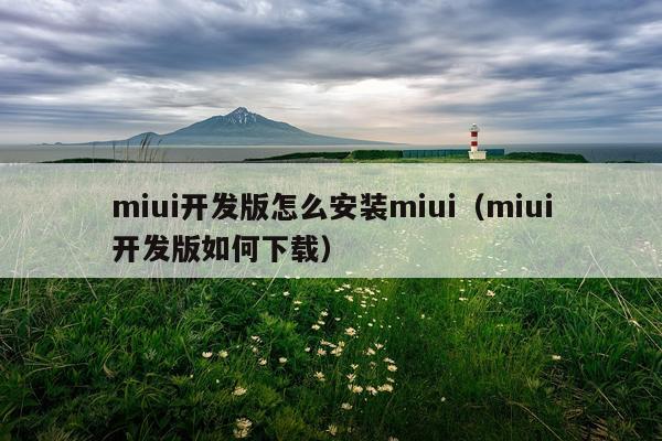 miui开发版怎么安装miui(miui开发版如何下载)