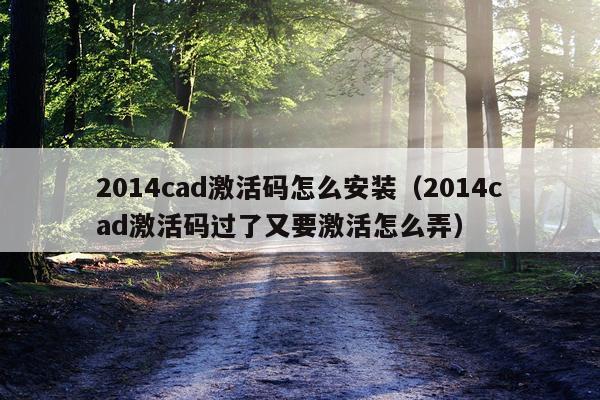 2014cad激活码怎么安装(2014cad激活码过了又要激活怎么弄)