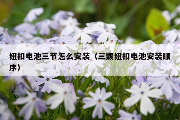 纽扣电池三节怎么安装(三颗纽扣电池安装顺序)