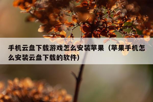 手机云盘下载游戏怎么安装苹果(苹果手机怎么安装云盘下载的软件)