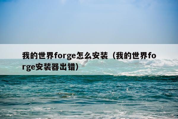 我的世界forge怎么安装(我的世界forge安装器出错)