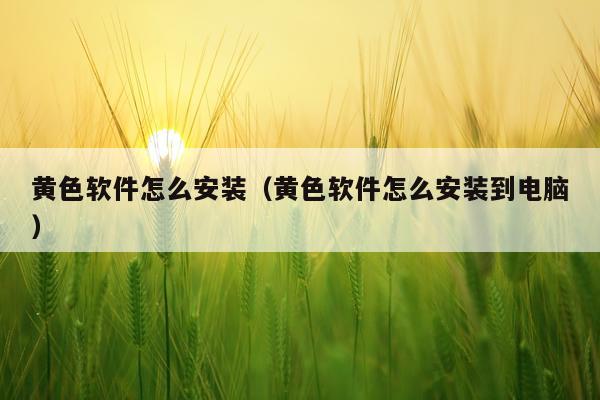 黄色软件怎么安装(黄色软件怎么安装到电脑)