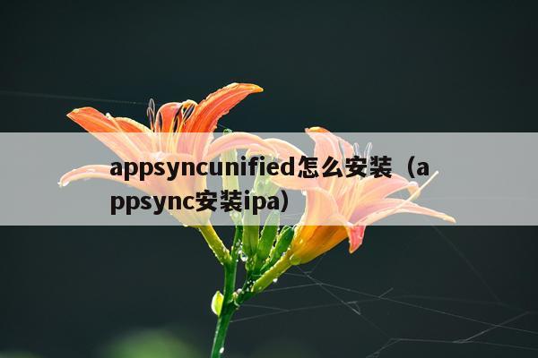 appsyncunified怎么安装(appsync安装ipa)