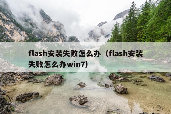 flash安装失败怎么办(flash安装失败怎么办win7)