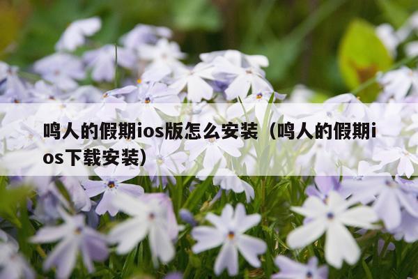 鸣人的假期ios版怎么安装(鸣人的假期ios下载安装)