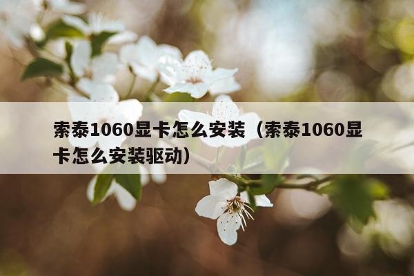 索泰1060显卡怎么安装(索泰1060显卡怎么安装驱动)