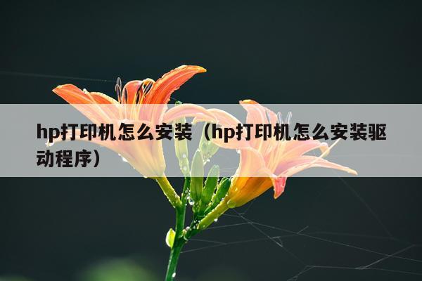 hp打印机怎么安装(hp打印机怎么安装驱动程序)