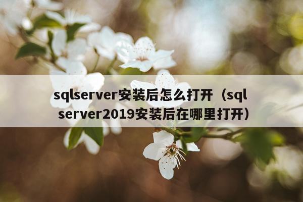 sqlserver安装后怎么打开(sql server2019安装后在哪里打开)